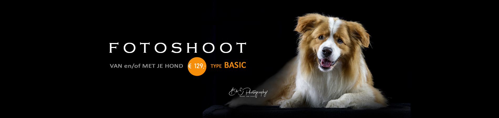 honden fotoshoot basic