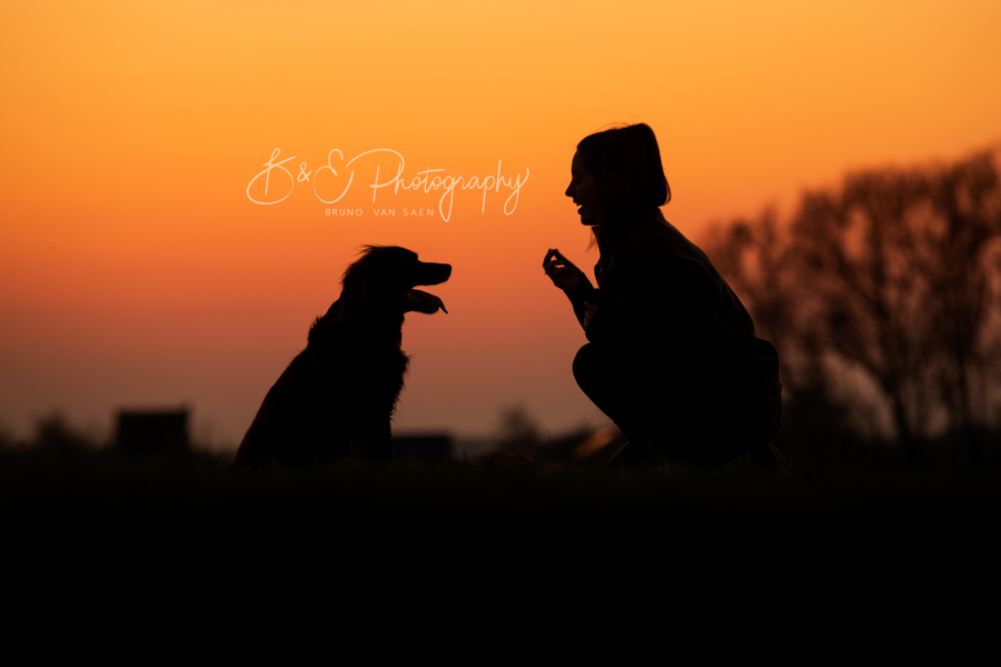 Professionele fotoshoot met je hond - Bruno Van Saen