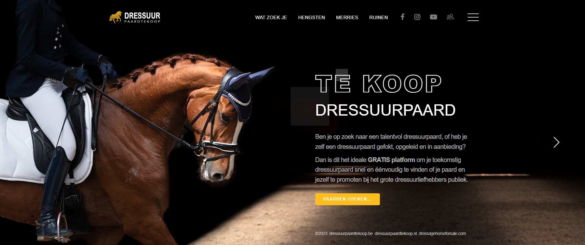 Dressuurpaard Te Koop