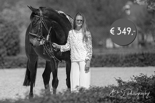 paarden fotoshoot deluxe