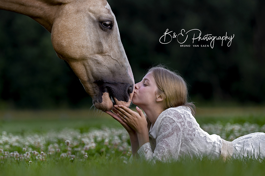 Professionele fotoshoot met je paard - Bruno Van Saen