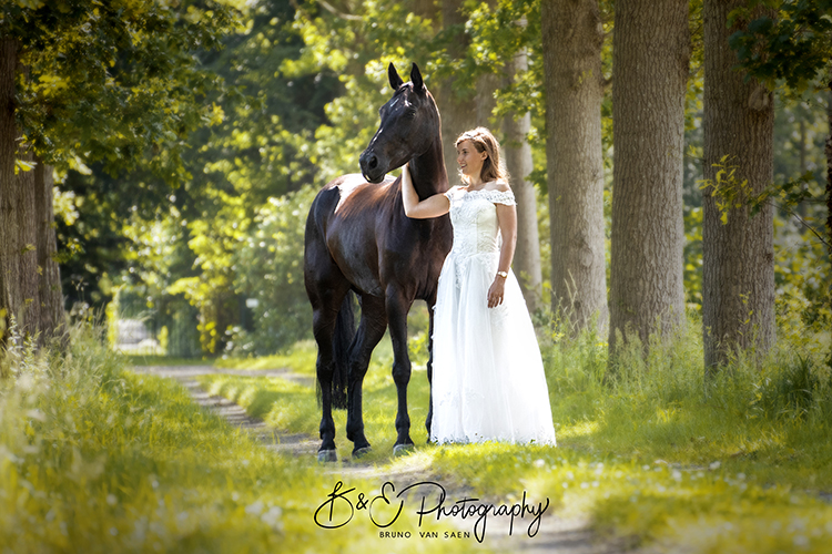 Paardenfotografie - Bruno Van Saen - België