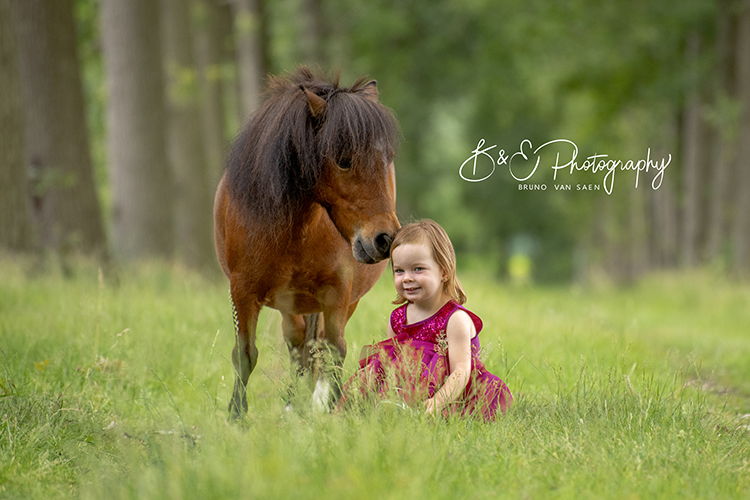 Professionele fotoshoot met je paard - Bruno Van Saen