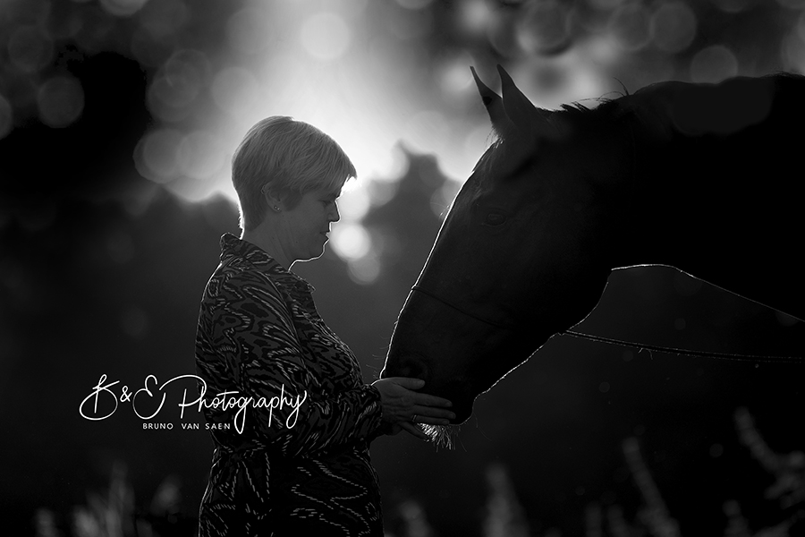 Paardenfotografie - Bruno Van Saen - België