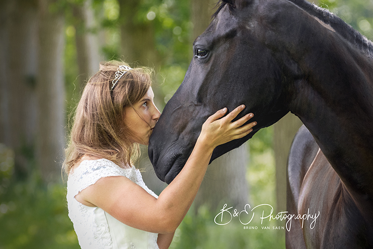 Professionele Fotoreportage met je paard - Bruno Van Saen - België