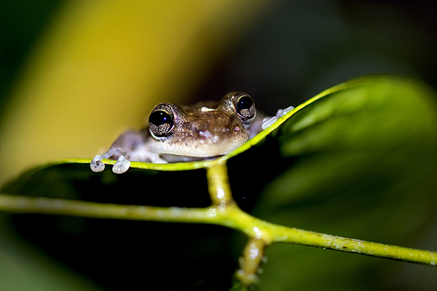 B&E Wildlife fotografie